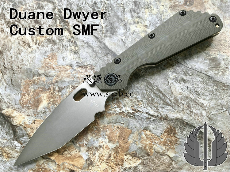 Strider ͦ Duane Dwyer ȫֹ SMF Special Mission ʹ ɫG10ѺϽһ ս۵ֻ